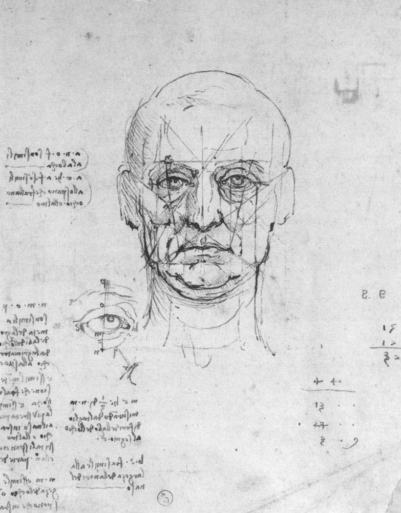 Леонардо да Винчи. Пропорции человеческой головы и глаз