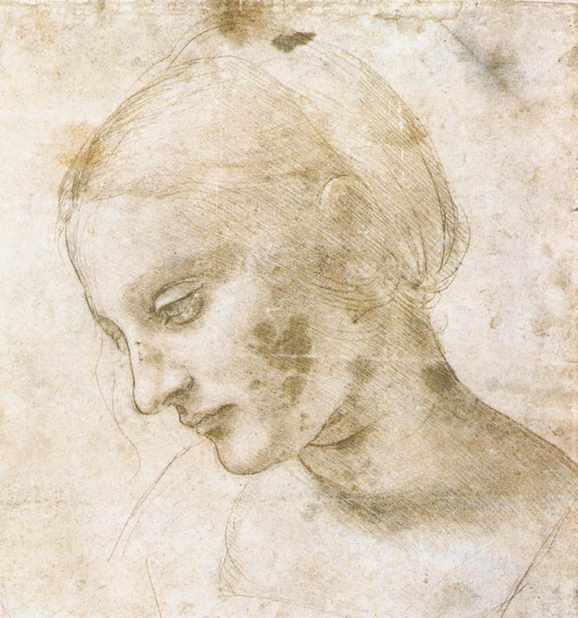 Леонардо да Винчи. Мадонна Литта (набросок)