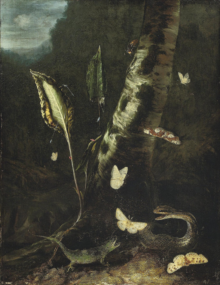 Отто Марсеус ван Скрик. Лесной натюрморт с ящерицей, змеей и бабочками