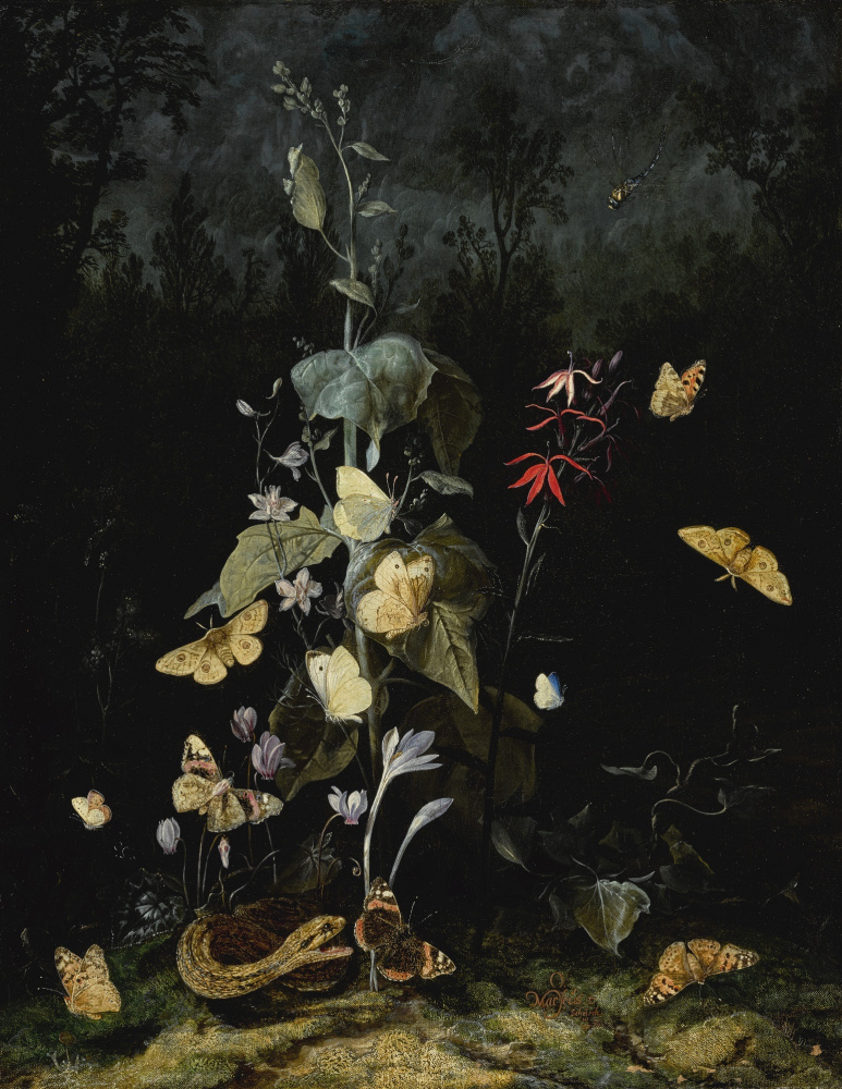 Отто Марсеус ван Скрик. Натюрморт с дикими цветами, включающими цикламен, крокус, дельфиниум, со змеей и бабочками