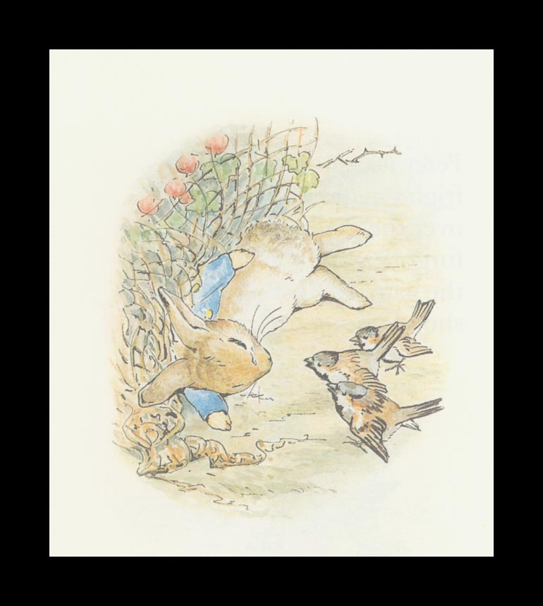 Бенджамин и Кролик Питер Банни. Сказка о кролике Питере 28