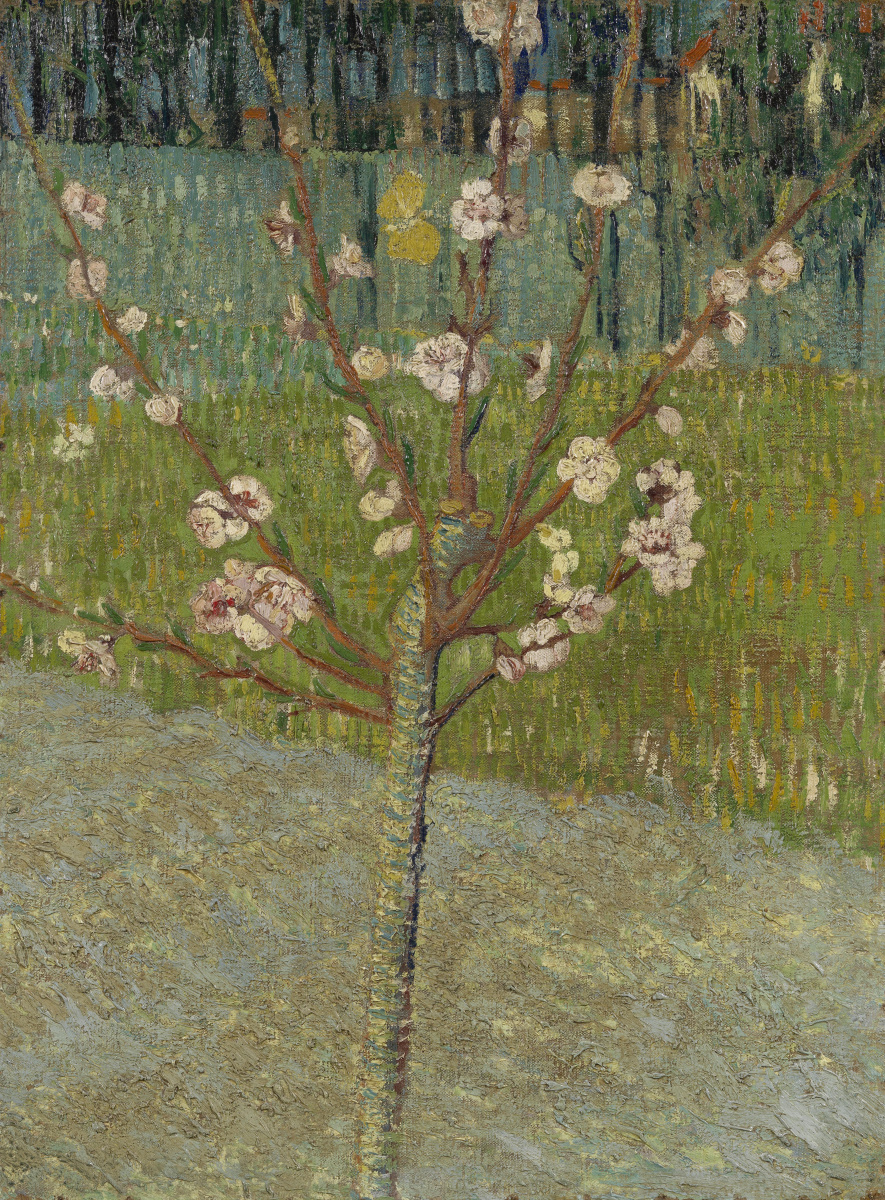 Винсент Ван Гог. Цветущее миндальное дерево