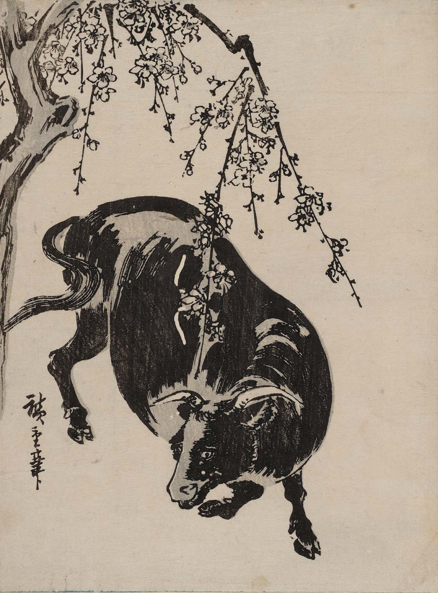 Утагава Хиросигэ. Бык под цветущим вишневым деревом