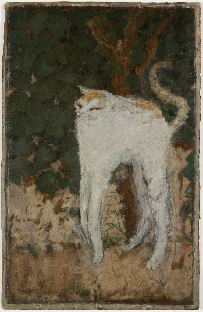 Пьер Боннар. Белый кот