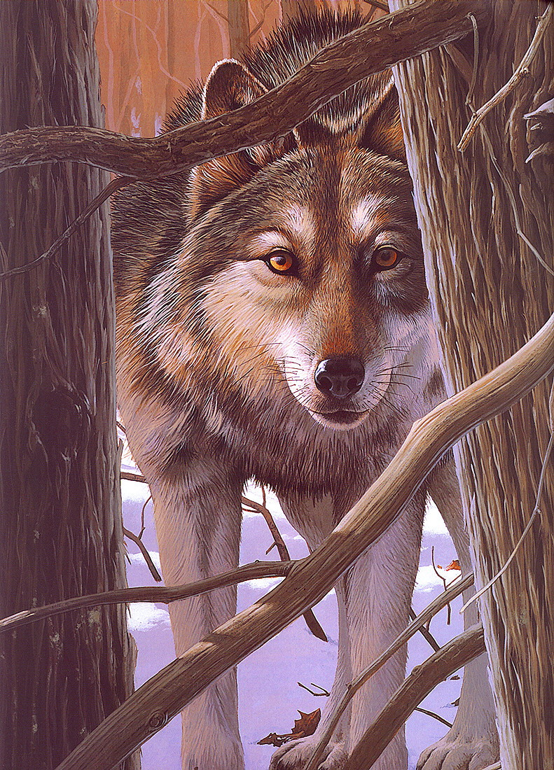 Род Лоеренс. Волк в лесу