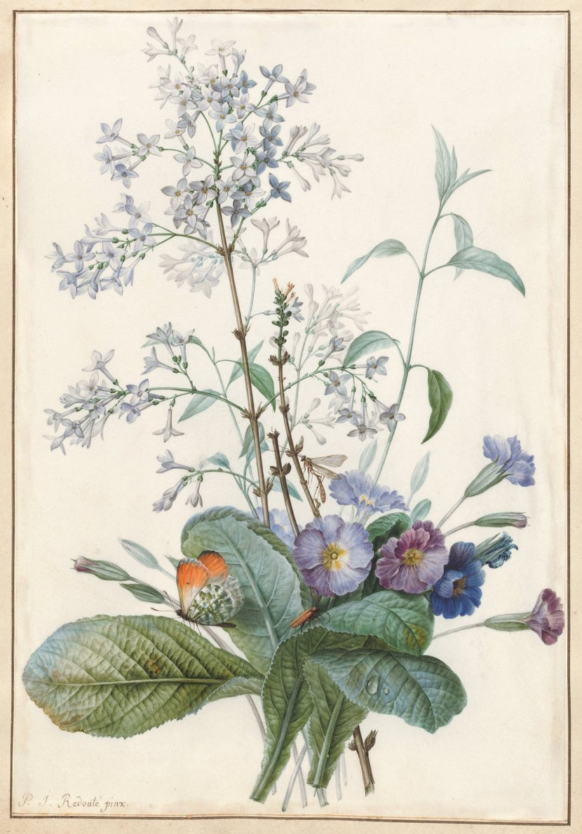 Пьер-Жозеф Редуте. Букет цветов с насекомыми