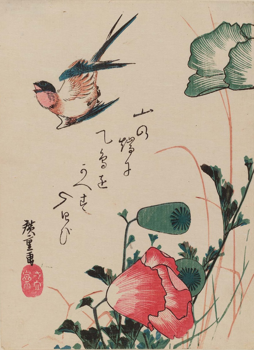 Утагава Хиросигэ. Ласточка и мак. Серия "Птицы и цветы"