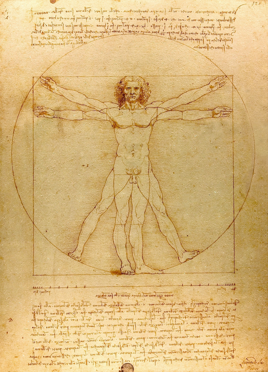 Леонардо да Винчи. Витрувианский человек (пропорции человеческого тела)