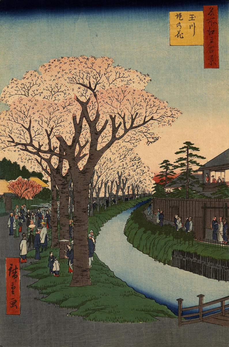Утагава Хиросигэ. Цветущие вишневые деревья на берегу реки Тамагава. Серия "100 знаменитых видов Эдо"