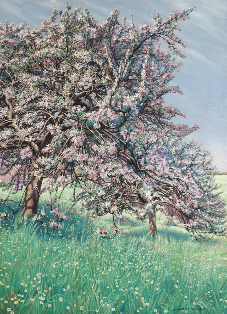 Карлос Швабе. Цветущая яблоня.  1912