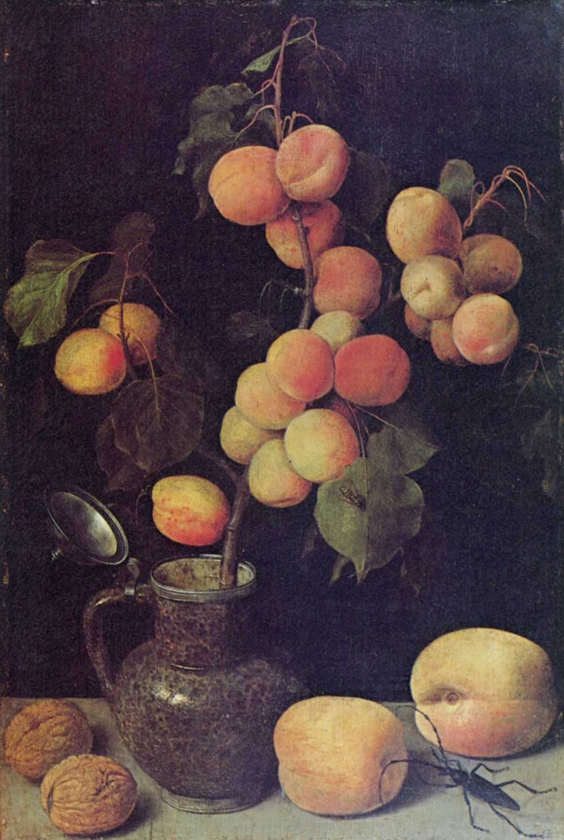 Георг Флегель. Ветка с плодами персика