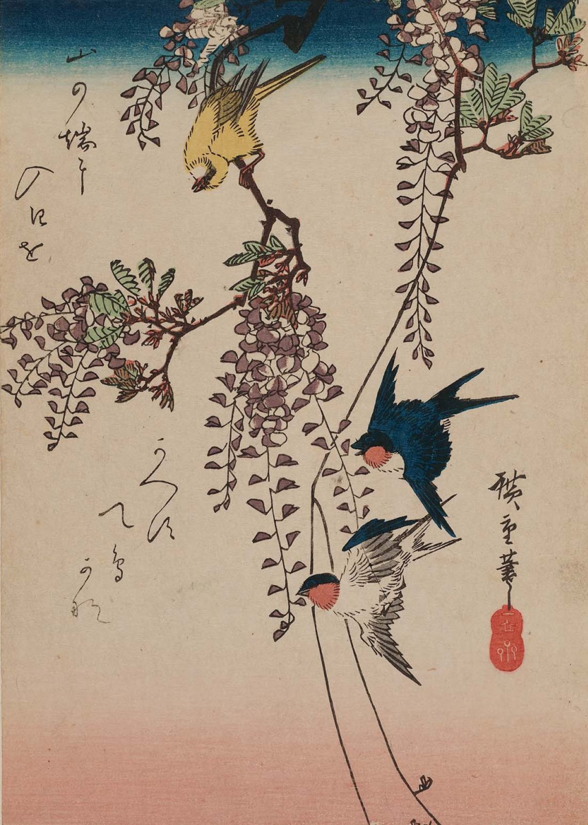 Утагава Хиросигэ. Ласточки, чиж и глициния. Серия "Птицы и цветы"