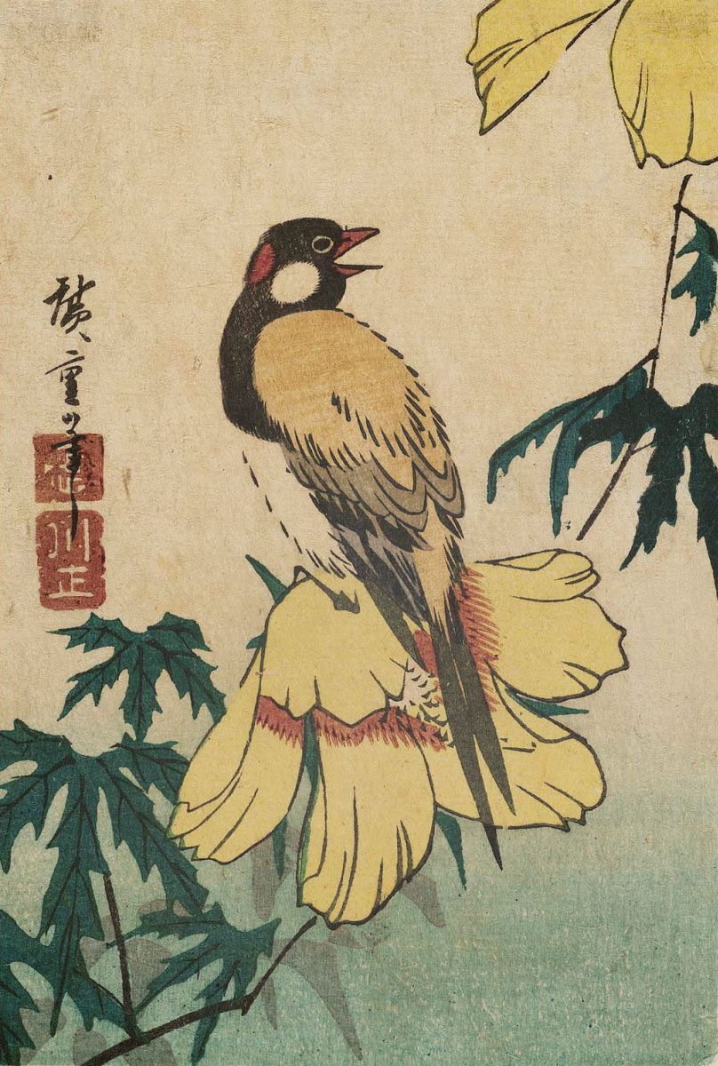 Утагава Хиросигэ. Птица на цветке желтого гибискуса