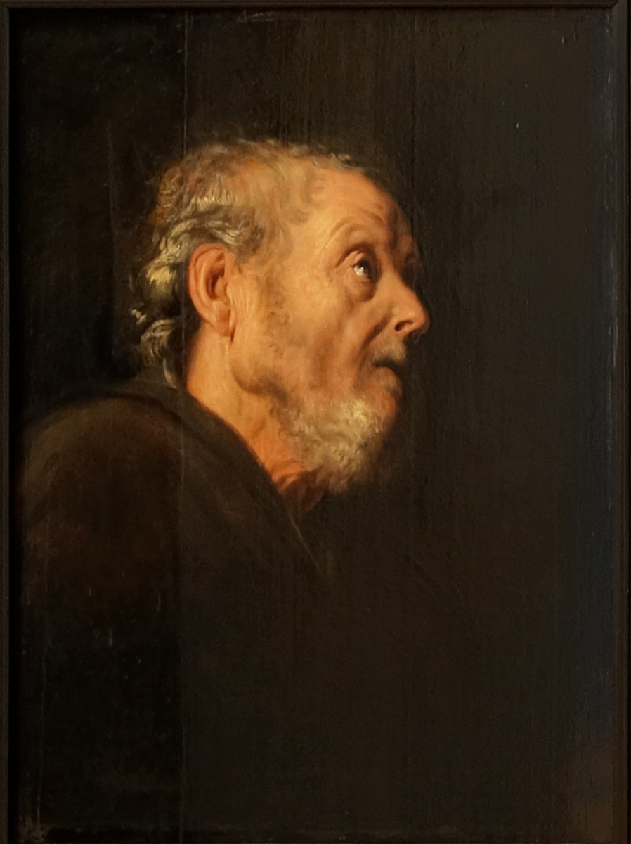 Ян Ливенс. Портрет пожилого мужчины