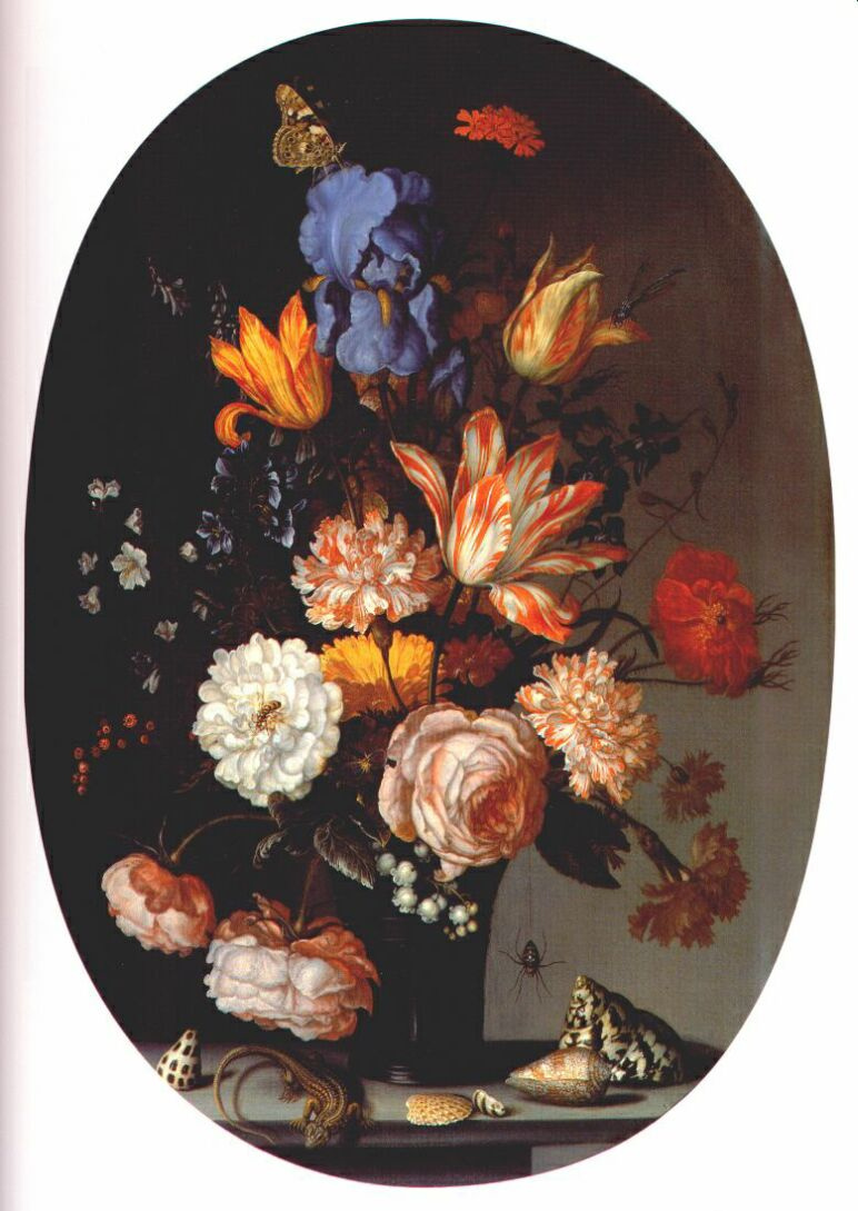 Цветы в вазе, раковины и ящерица