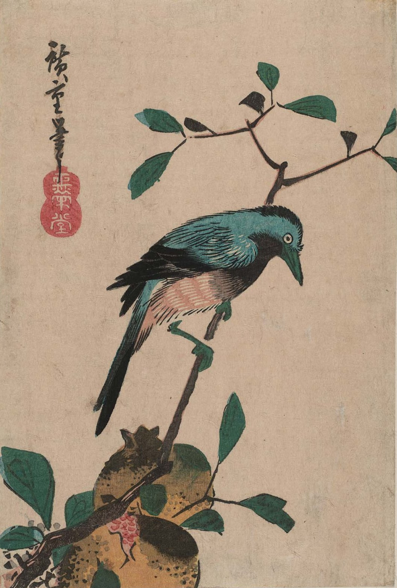 Утагава Хиросигэ. Сойка на ветке и плоды граната. Серия "Птицы и цветы"