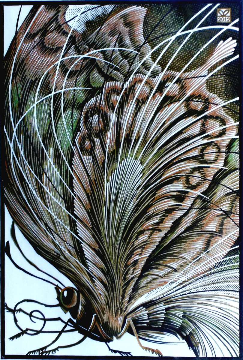 «Бабочка золотистая», линогравюра, 64Х43, 2012год