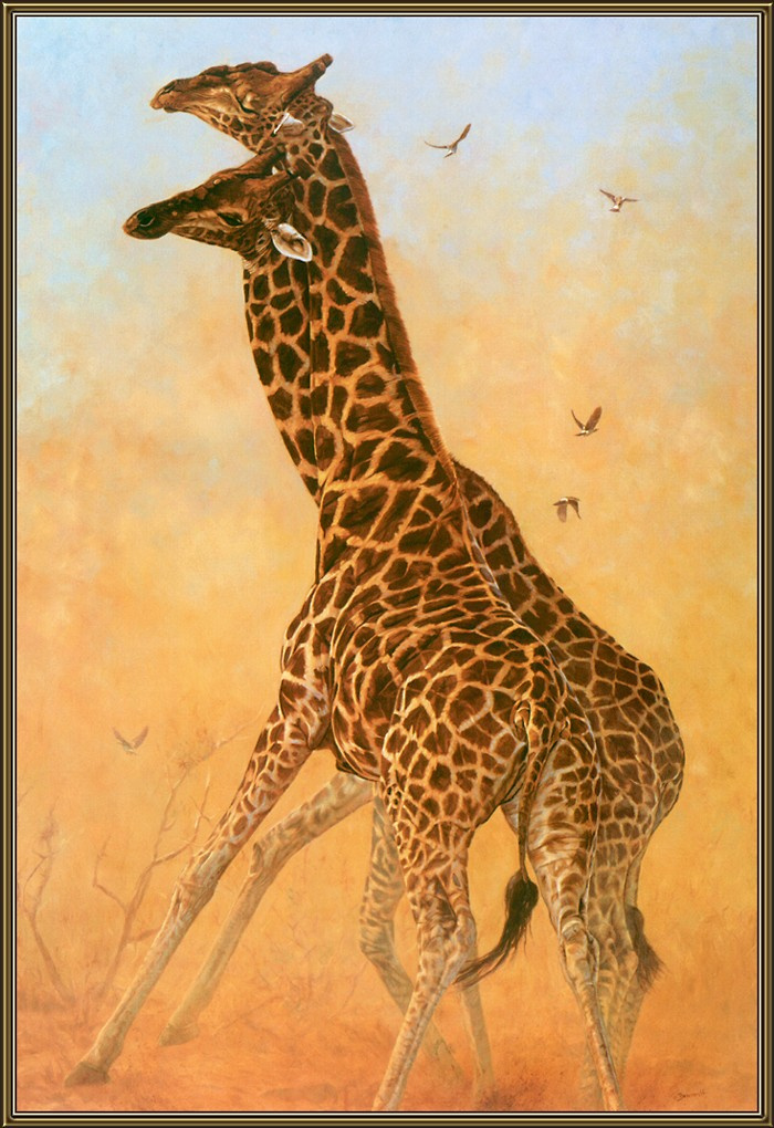 Джон Банович. Два жирафа