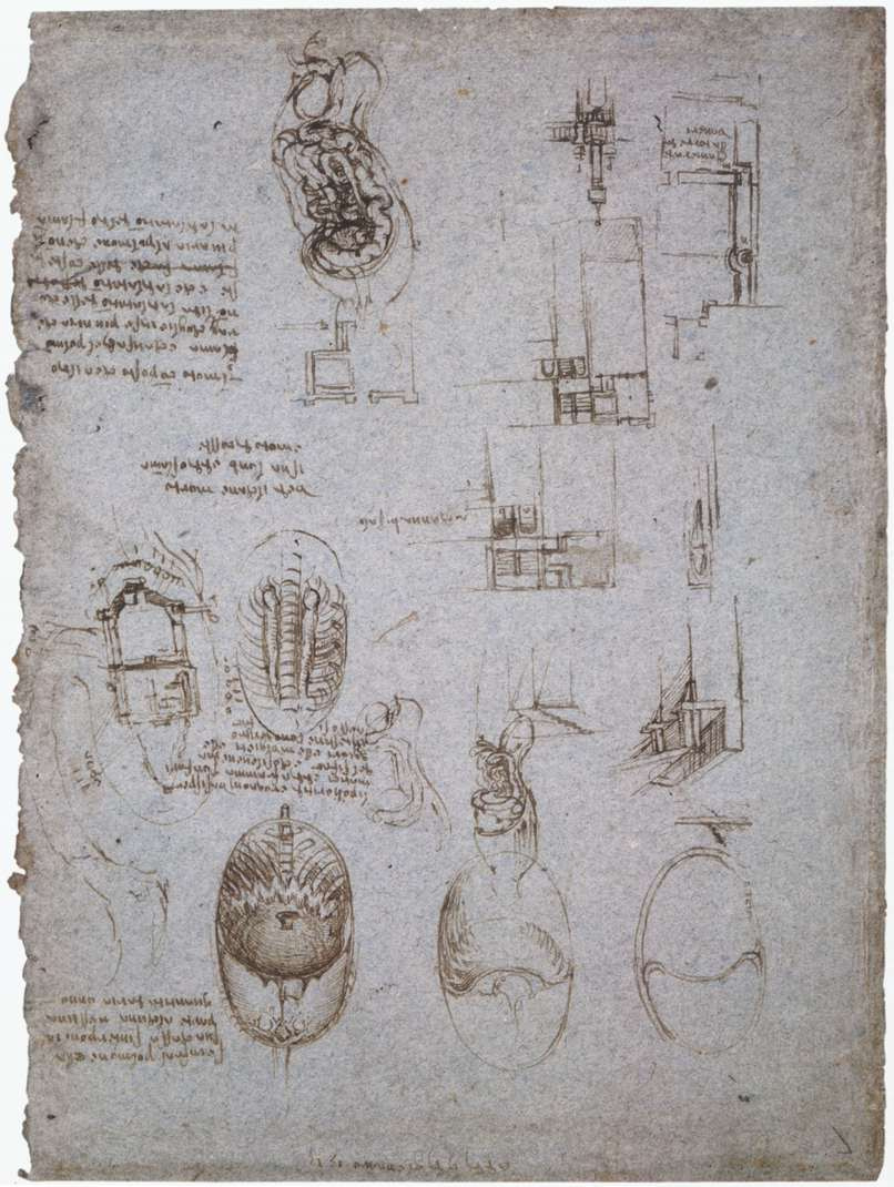 Леонардо да Винчи. Зарисовки Виллы Мельци и анатомические зарисовки