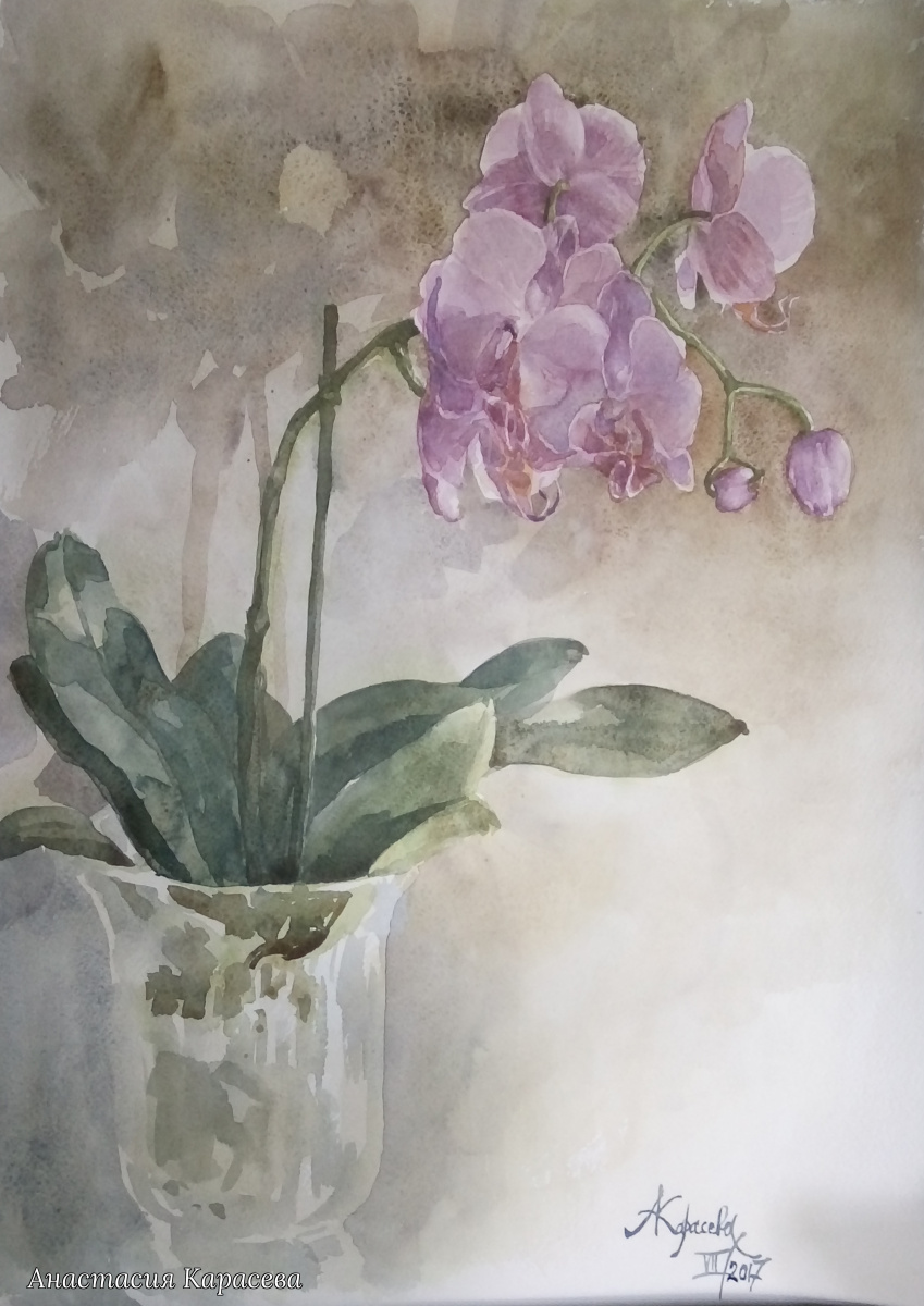 Анастасия Карасева. Розовая орхидея