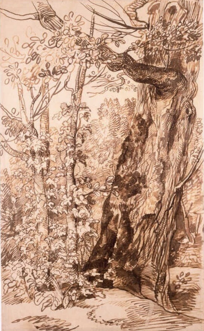 Ян Ливенс. Пейзаж с большим деревом