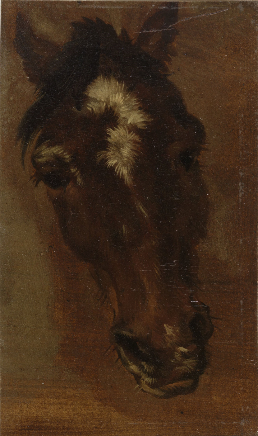 Генриетта Роннер-Книп. Голова лошади III