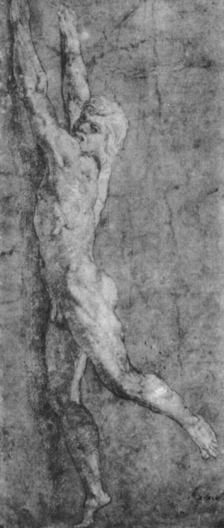 Рафаэль Санти. Нагой юноша, висящий на стене. Этюд к фреске "Пожар в Борго"