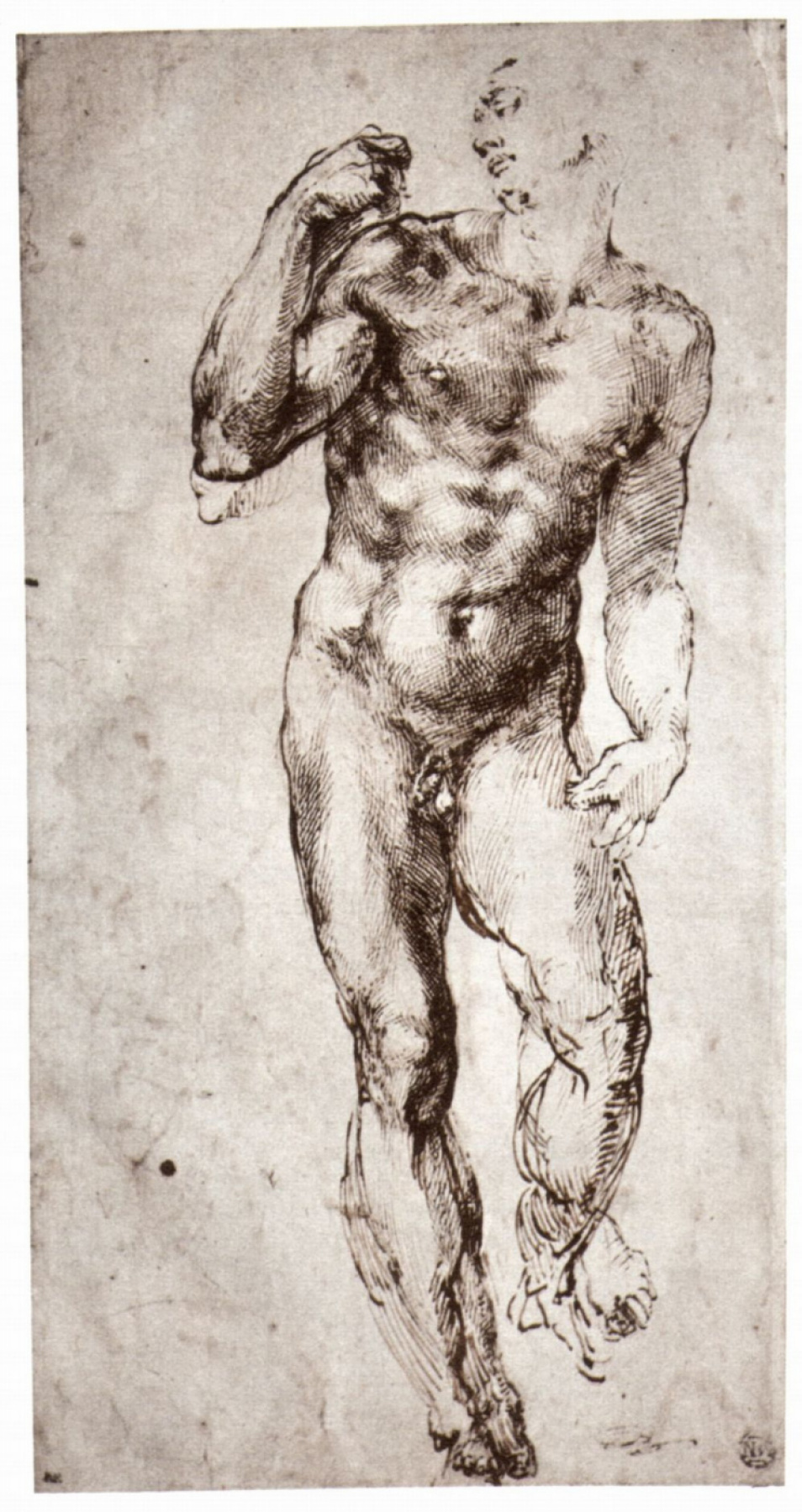 Микеланджело Буонарроти. Стоящий обнаженный (вид спереди)