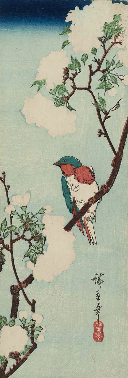 Утагава Хиросигэ. Птица на усыпанной цветами вишневой ветке. Серия "Птицы и цветы"