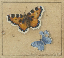 Описание картины толстого букет цветов бабочка