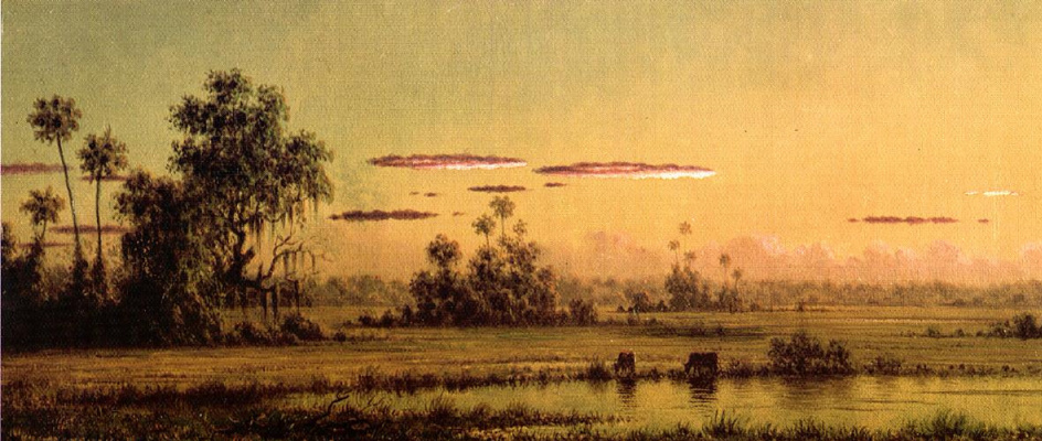 Мартин Джонсон Хед. Флоридский пейзаж с пасущимися на закате коровами