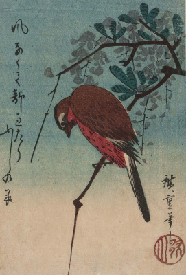 Утагава Хиросигэ. Птица на ветке глицинии