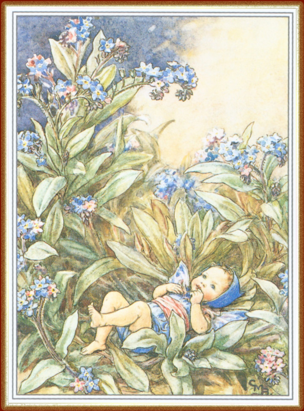 Анустағы крем