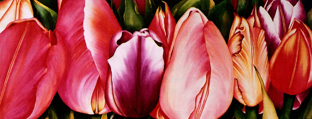 Кэрол Лессард. Весенние цветы