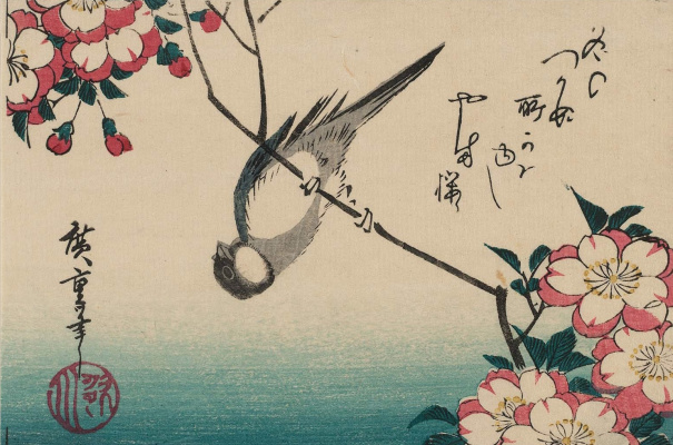 Утагава Хиросигэ. Синица, повисшая вниз головой на ветке цветущей вишни