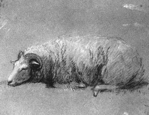 Томас Гейнсборо. Отдыхающая овца. Эскиз