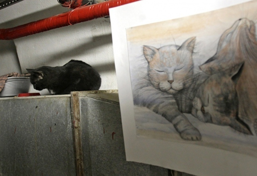Искусство - кошкам: голландский художник Эрик ван Лисхаут устроил перформанс с мяукающими хранителями Эрмитаже