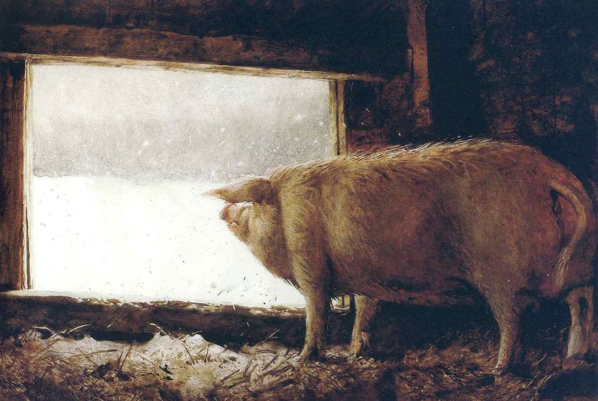 Свиньи и высокое искусство: 8 картин, доказывающих, что это идеальная пара
