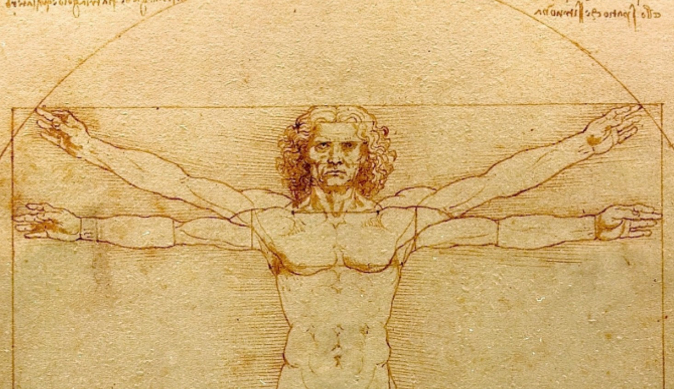 ТОП-20 великих изобретений Леонардо да Винчи и что за ними скрывается на  самом деле | Артхив