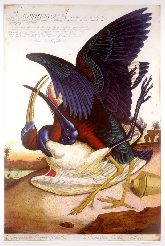 "Пение и тишина. Птицы в современном искусстве Америки": картины для настроения и полета!