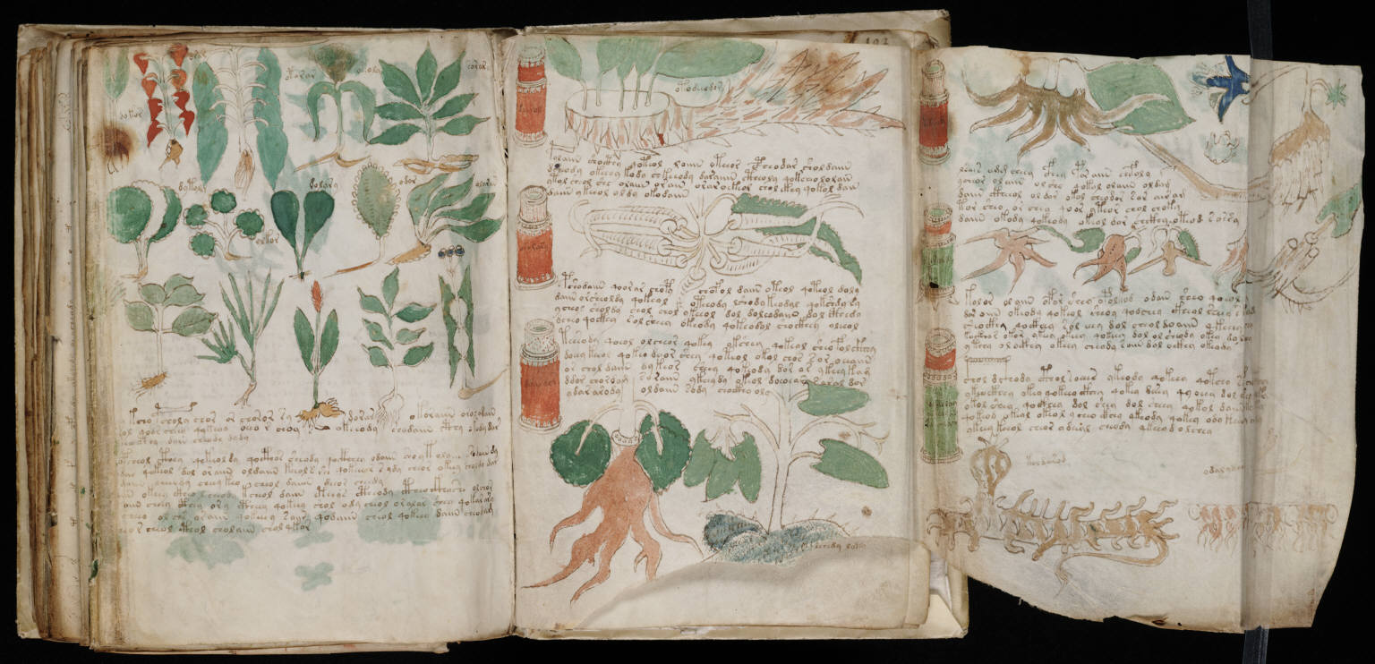 Canadian computing scientists deciphered secret language of the 600-year-old Voynich Manuscript