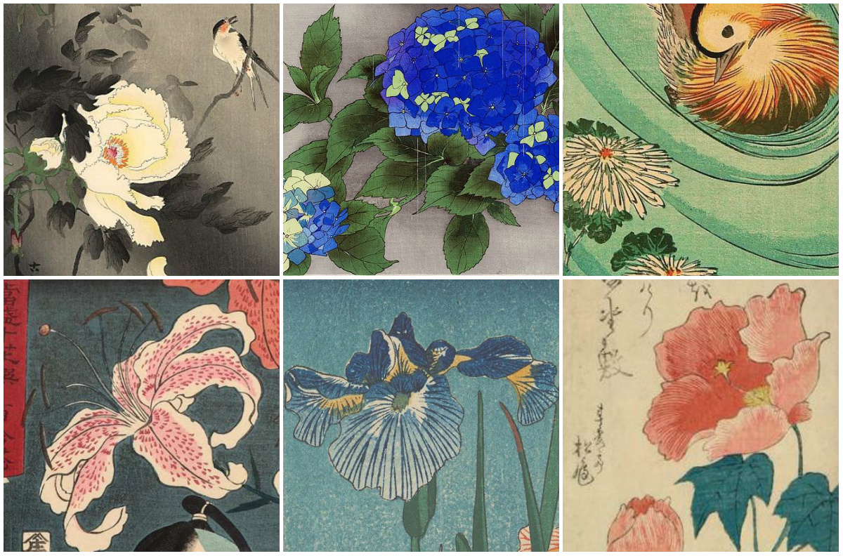 Не сакурой единой: любимые цветы японских художников