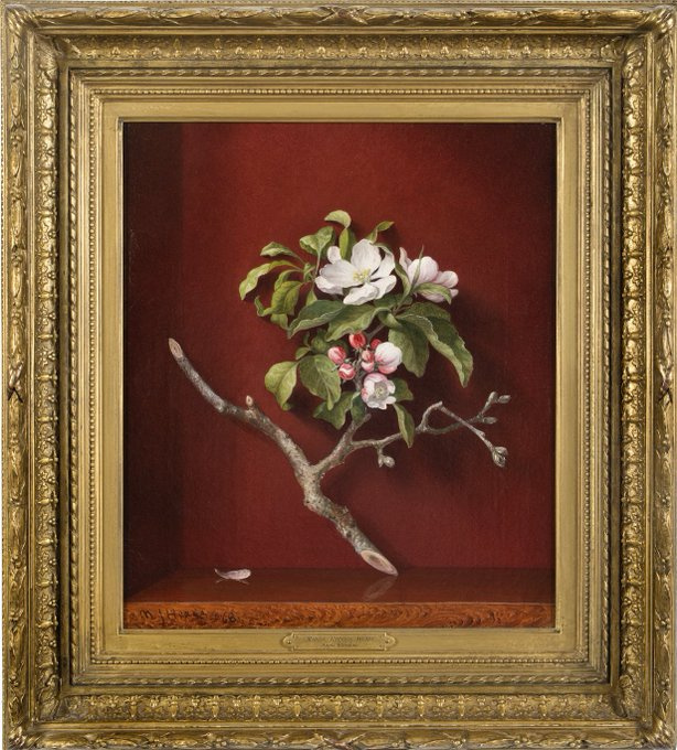 «Цветущая ветка яблони» Мартина Джонсона Хида, которую Нью-Йоркское историческое общество «кинуло» С
