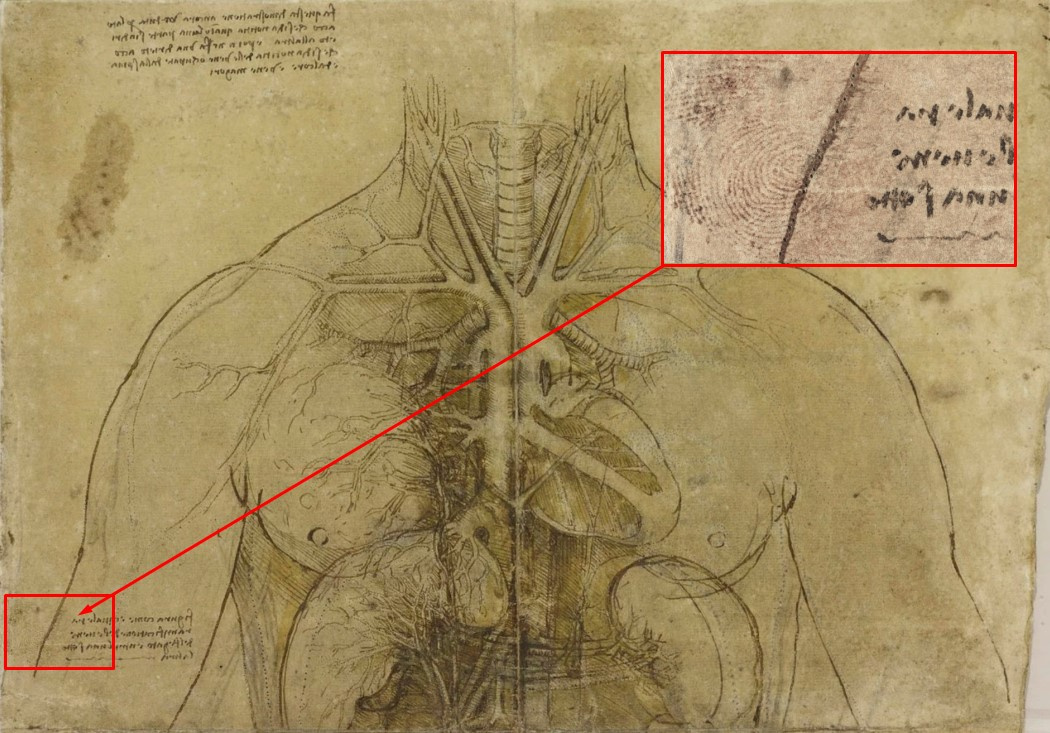 Отпечаток пальца Леонардо да Винчи обнаружен на рисунке из Королевской коллекции