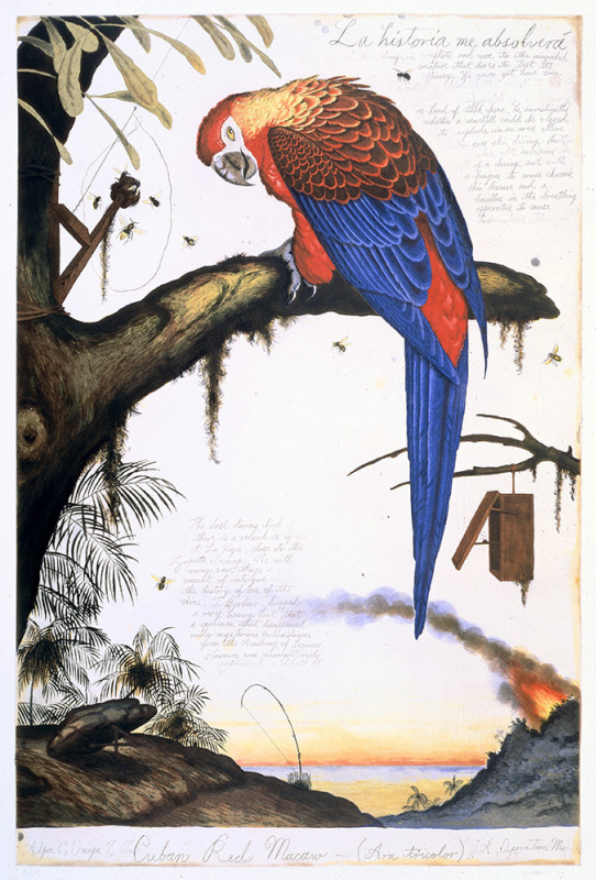 "Пение и тишина. Птицы в современном искусстве Америки": картины для настроения и полета!
