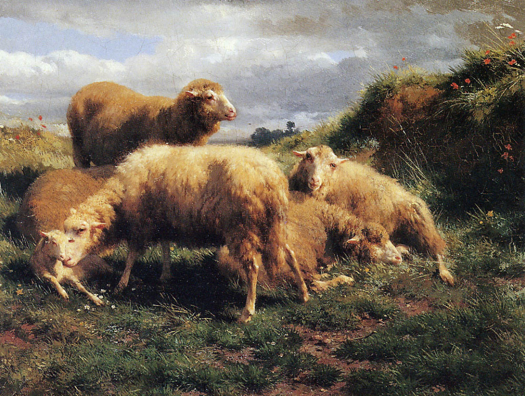 Роза Бонёр. Пейзаж с овцами