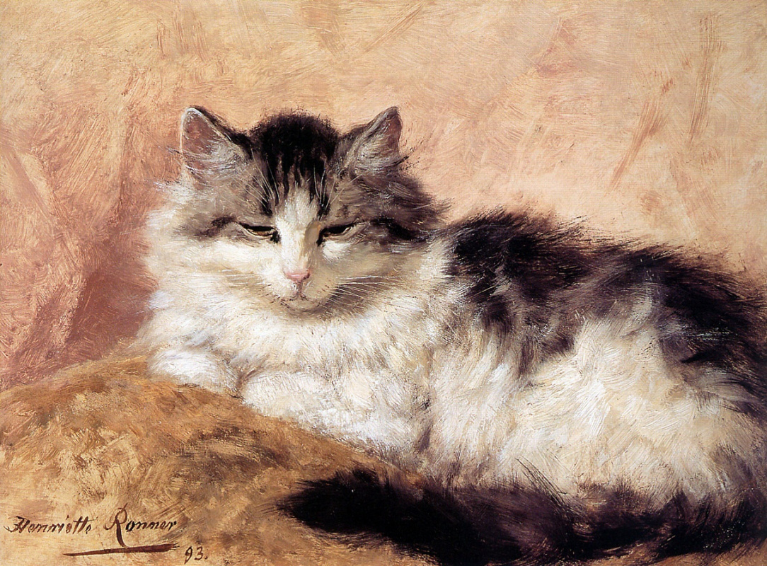 Генриетта Роннер-Книп. Дремлющий кот
