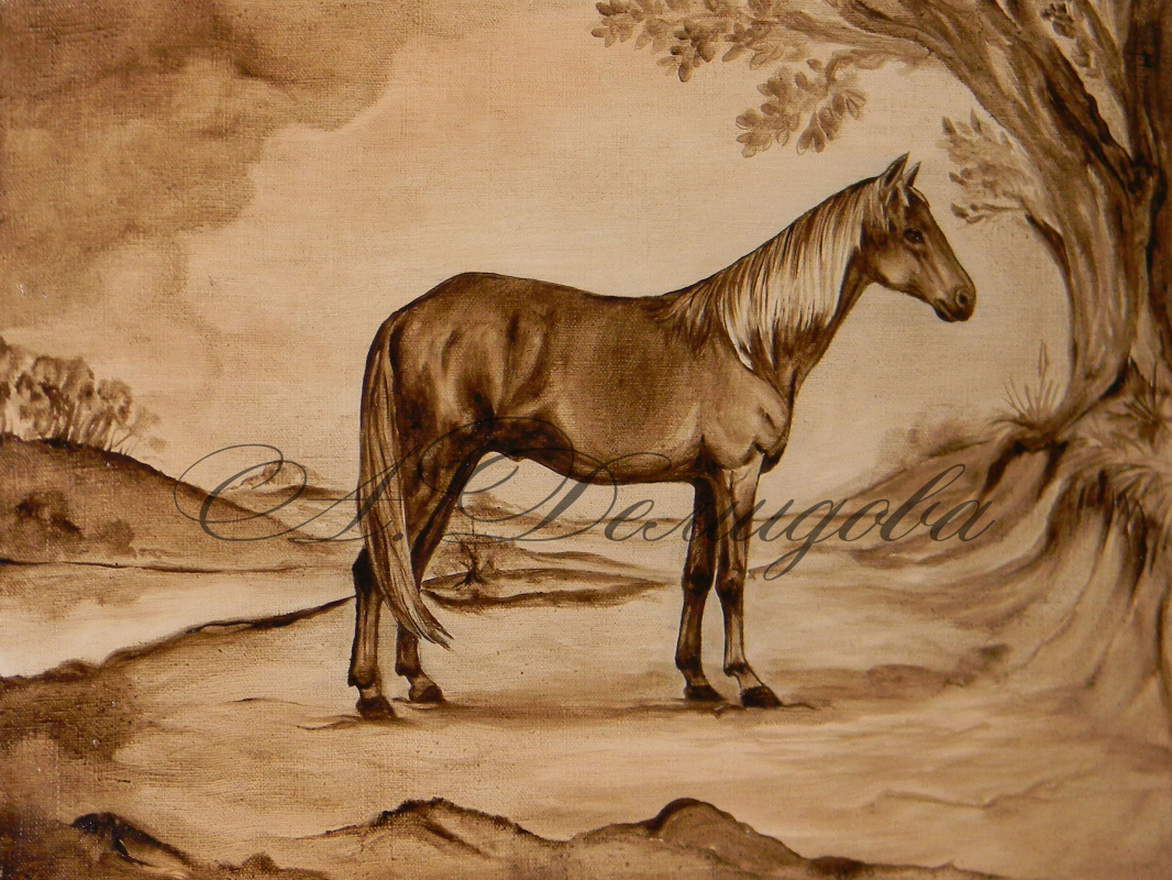 Александра Демидова. Арабская порода лошади