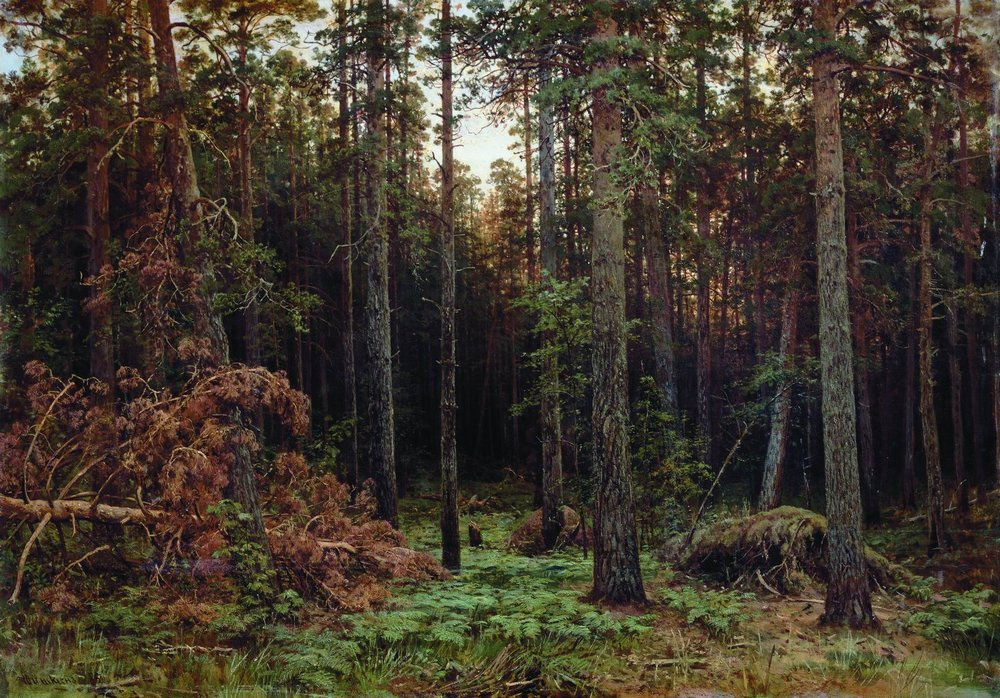 Иван Иванович Шишкин. Сосновый лес