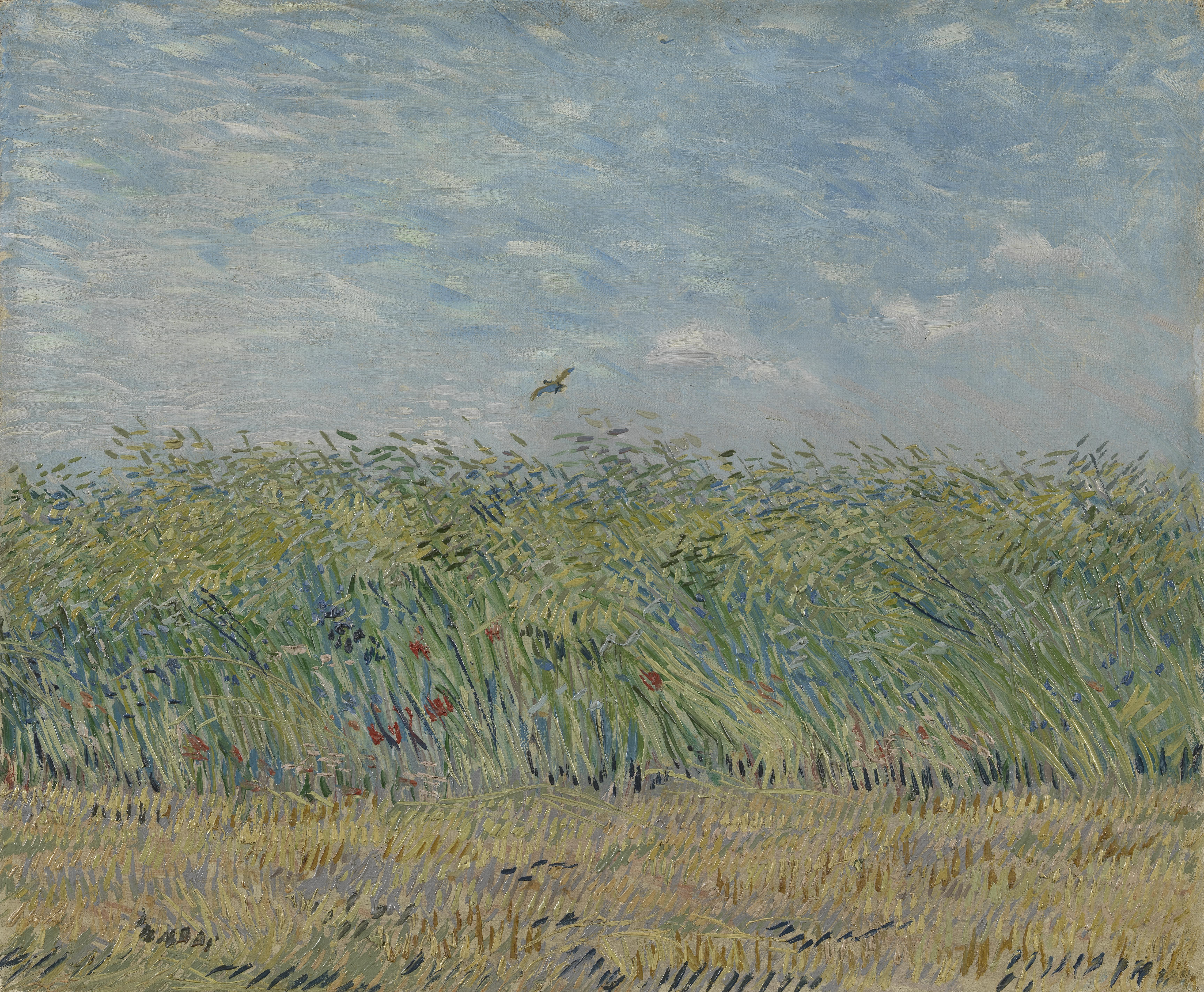 Винсент Ван Гог. Пшеничное поле с жаворонком